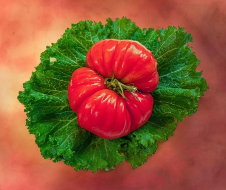 Food and Lifestyle Photography | Portland OR