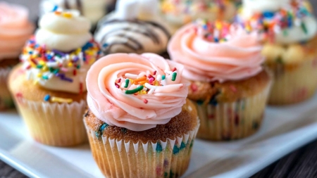 Food and Lifestyle Photography | Portland OR